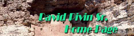 David Pivin Sr.'s Home Page