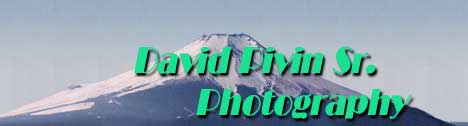 Dave Pivin Sr.'s Photography Page